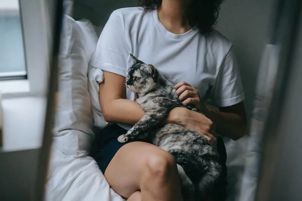 woman holding a cat and petting her