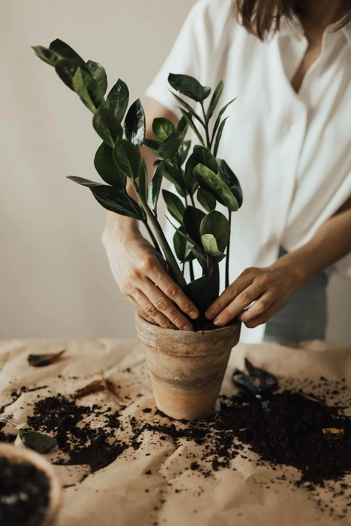 woman repotting her plant