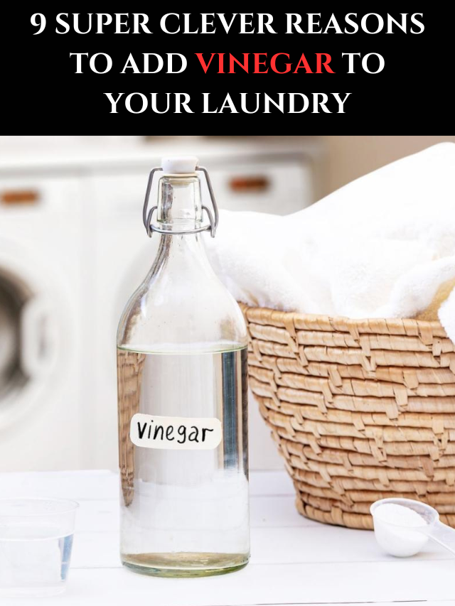 9 Super Clever Reasons To Add Vinegar To Your Laundry