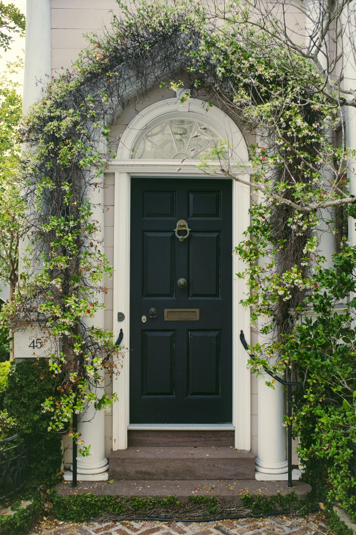 black front door with ivy around it