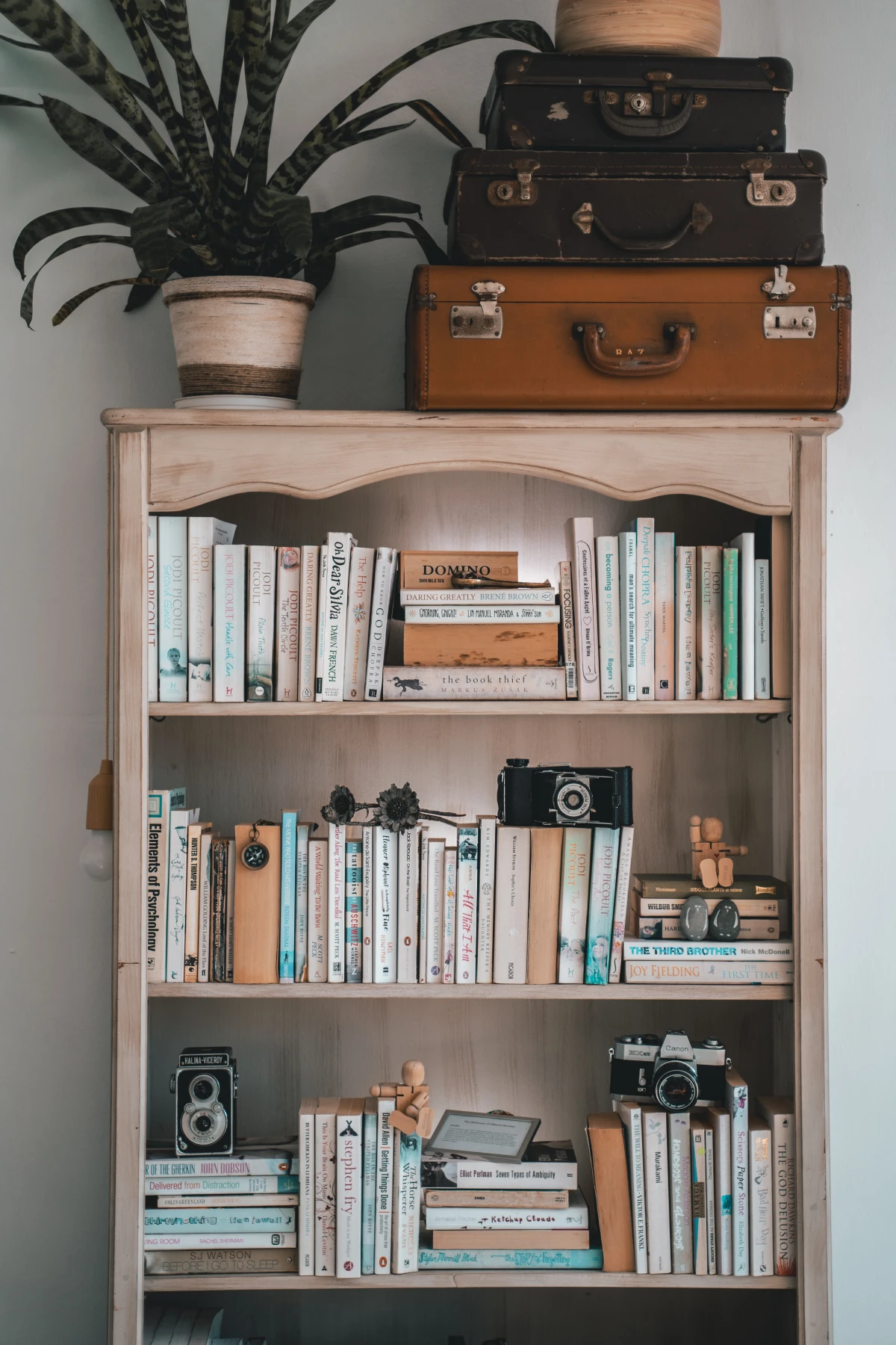 bookcase with plants and luggage and books