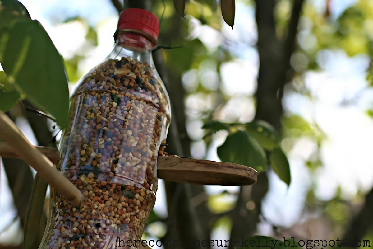 bottle filed with bird seed