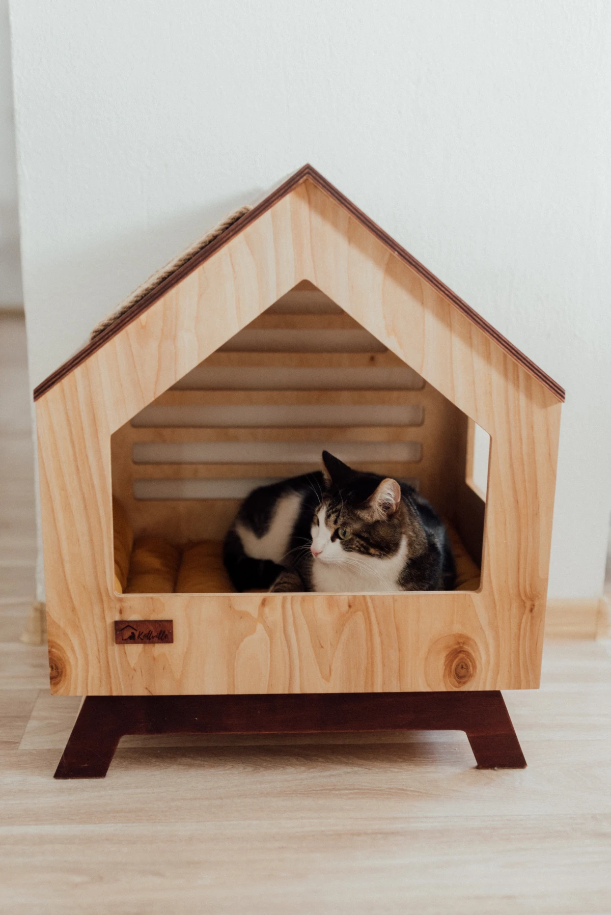 cat sleeping in a wooden cat house