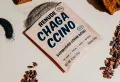 7 Magical Benefits of Mushroom Powder in Drinks and Food