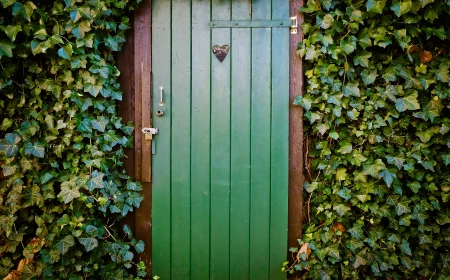 english ivy around the door