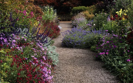 garden borders flowers alongside path