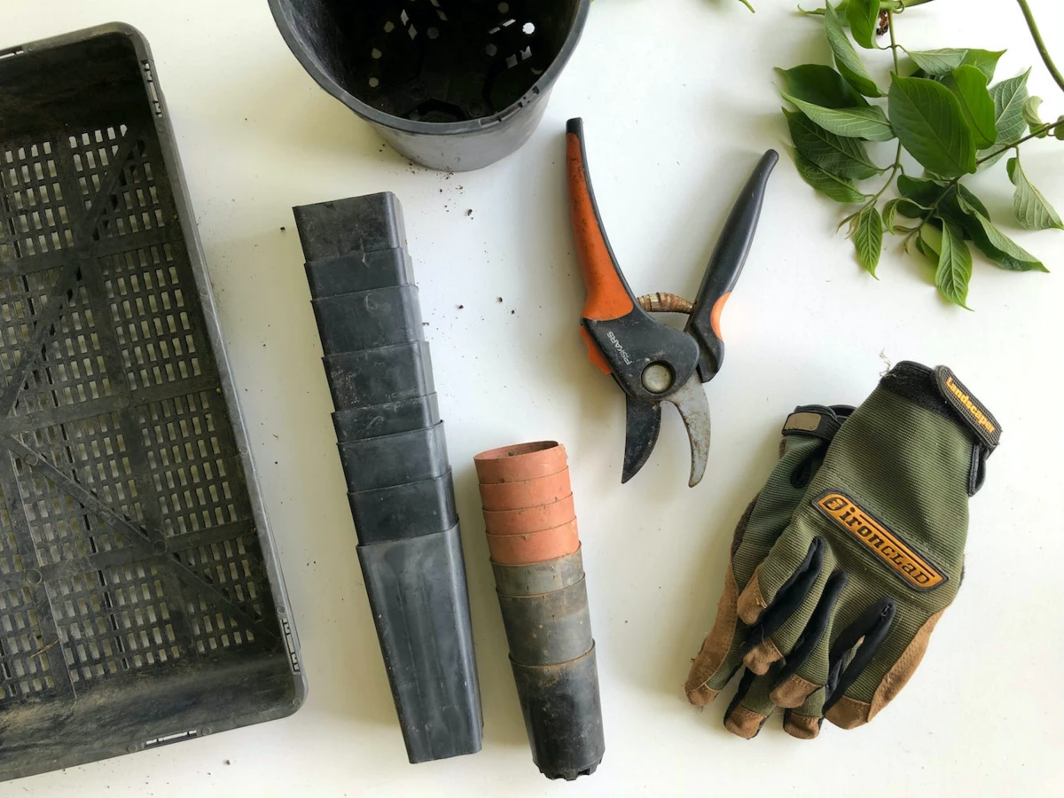 gloves cutter for gardening
