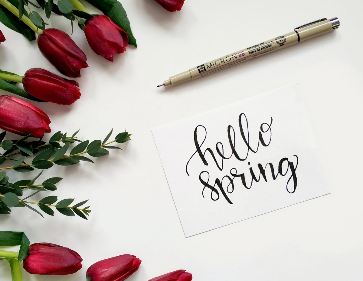 hello spring written on paper