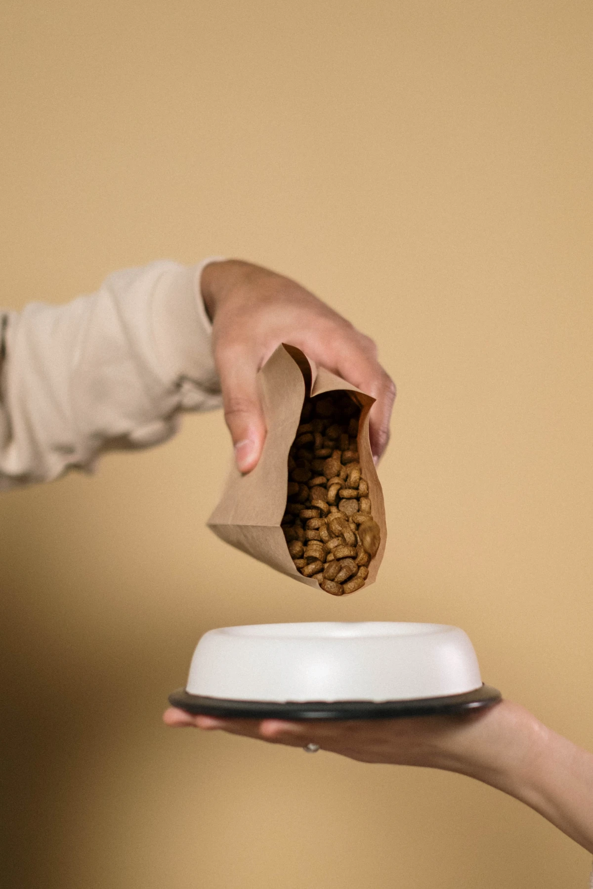 help your dog live longer person pouring dog food in a bowl