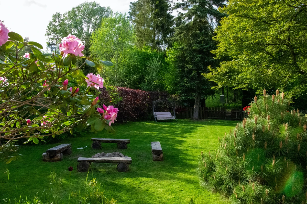 how to declutter a backyard green lush grass with wooden benches
