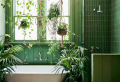 6 Moisture-Loving Houseplants For Less Indoor Humidity