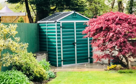 little shed in green in backyard