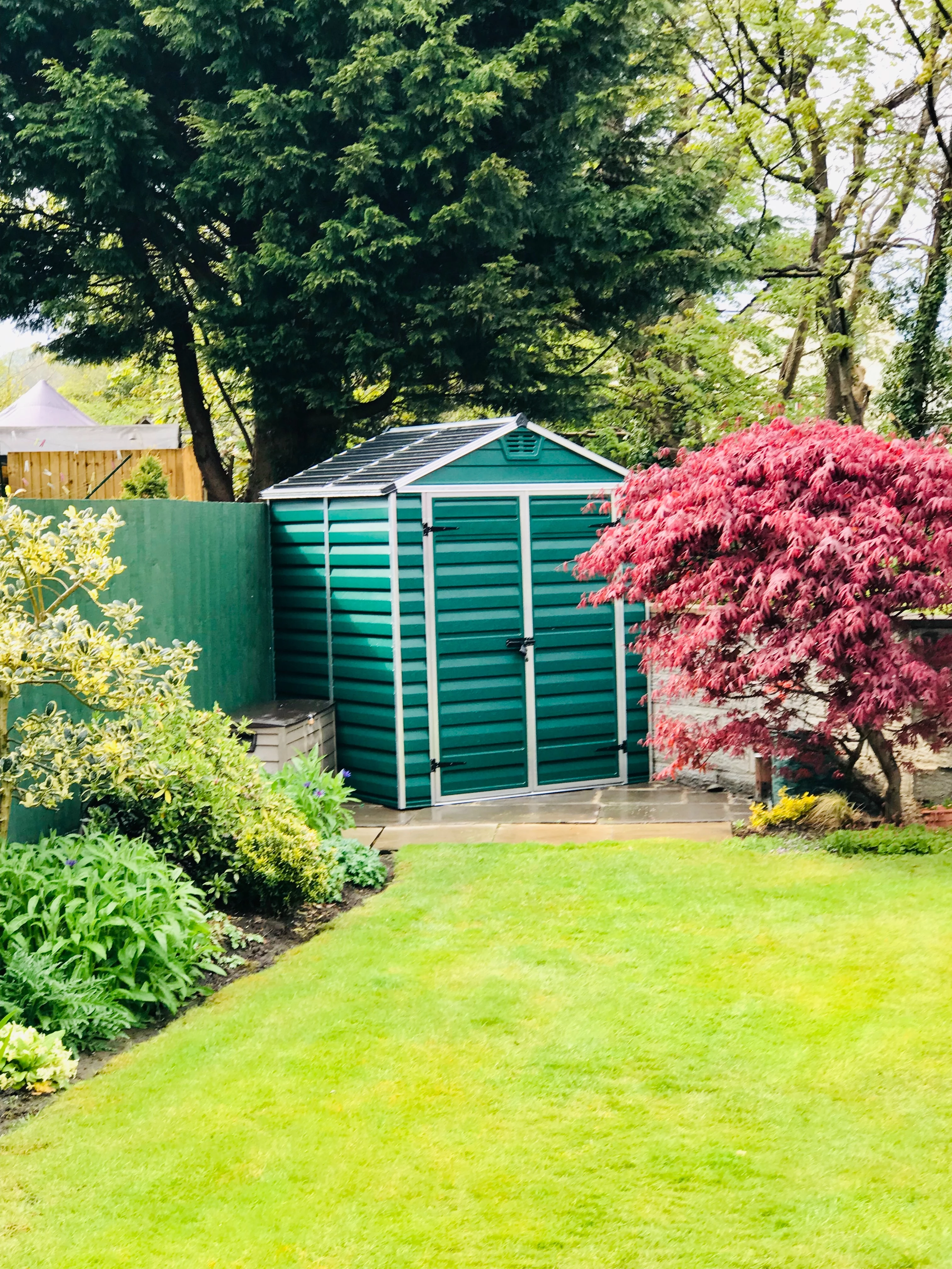 little shed in green in backyard