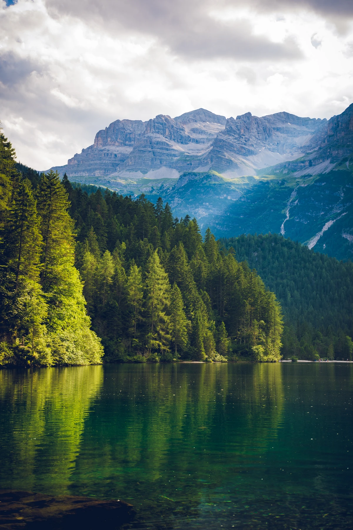 mountain lake and trees