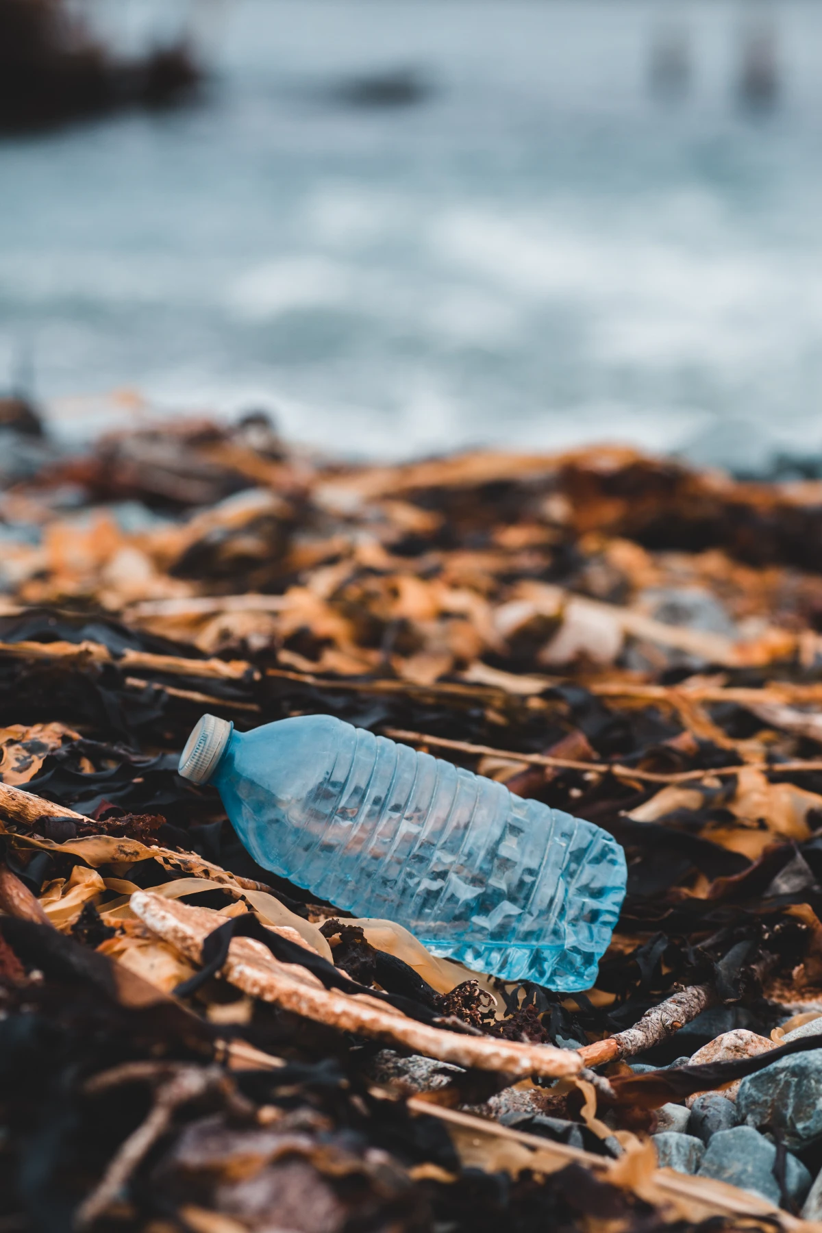plastic bottle on land