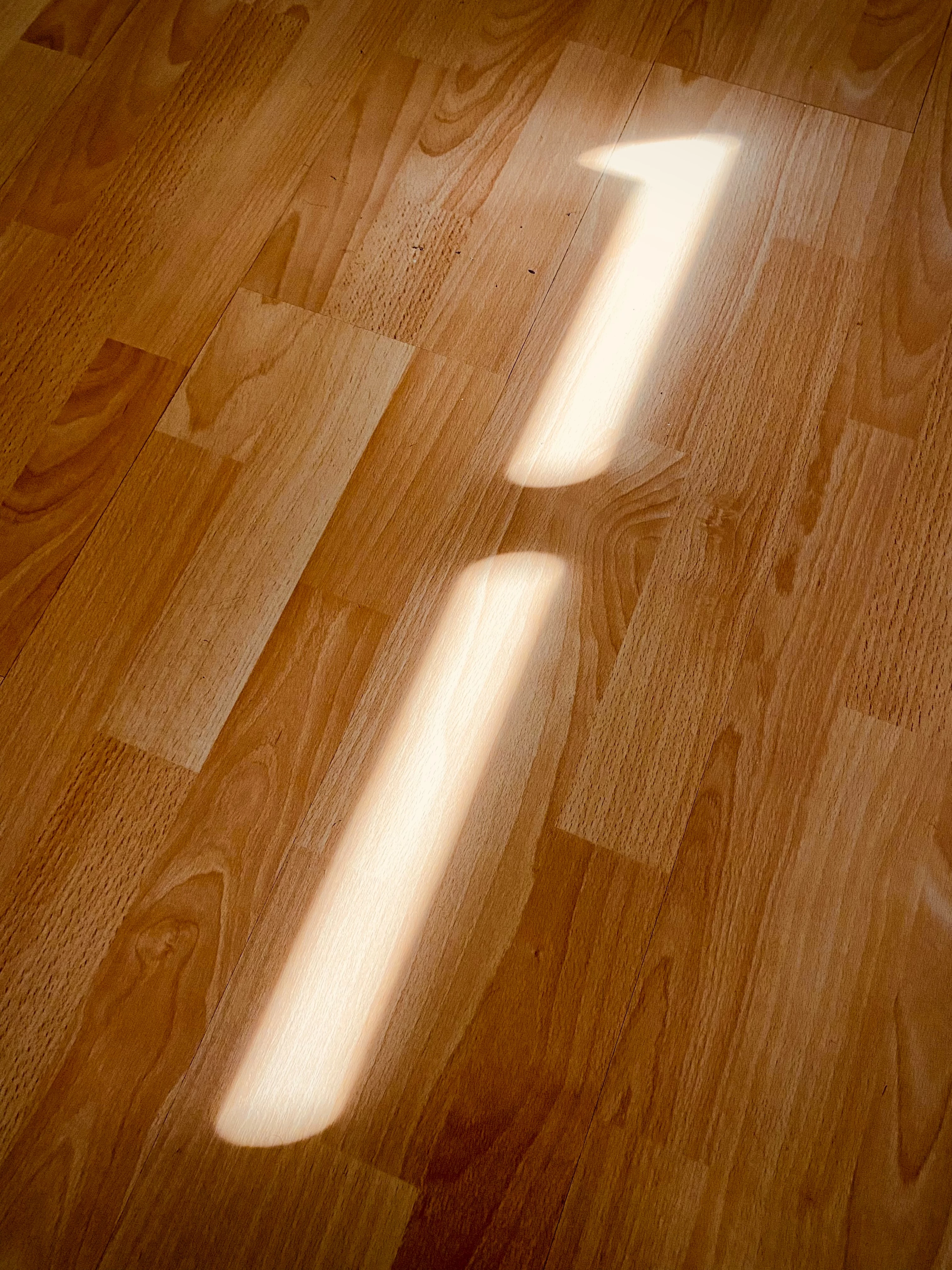 shiny laminate floor