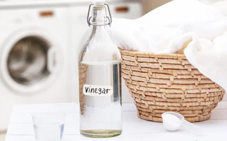 should you add vinegar to your laundry