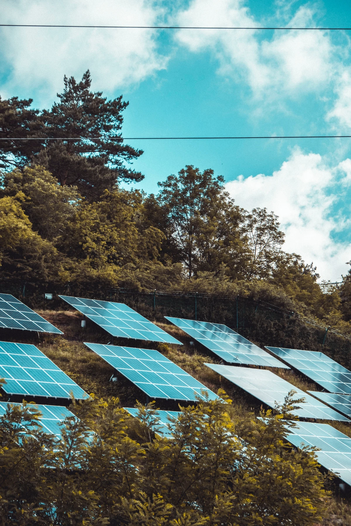 solar panels on a hill