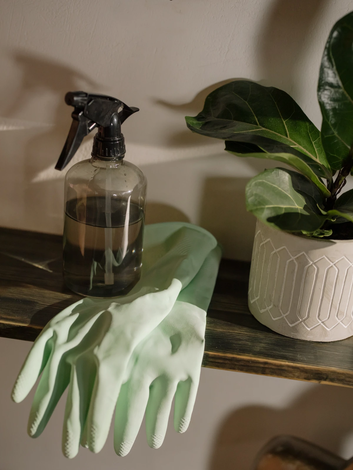 spray bottle and green gloves on shelf