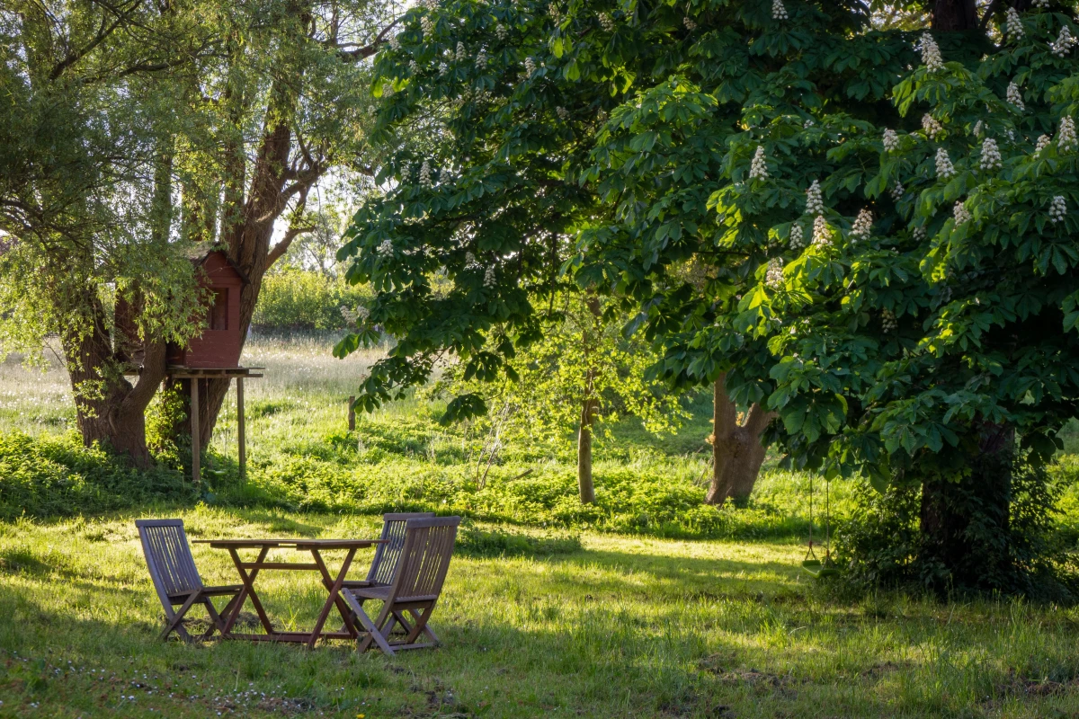 table and chairs in backyard