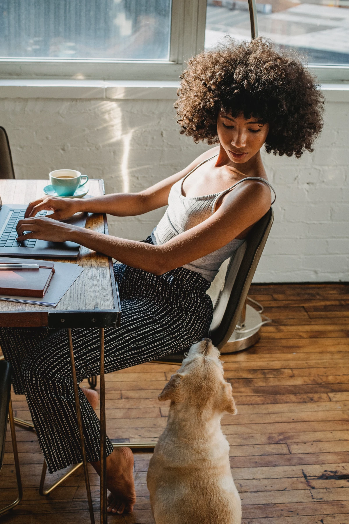 woman working while dog watches