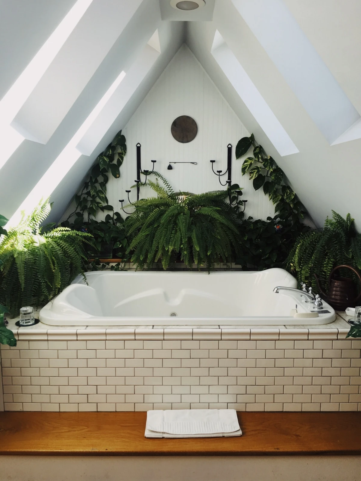 bathtub surrounded by plants