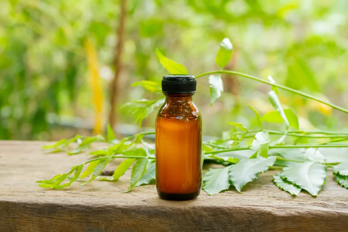 bottle of neem oill