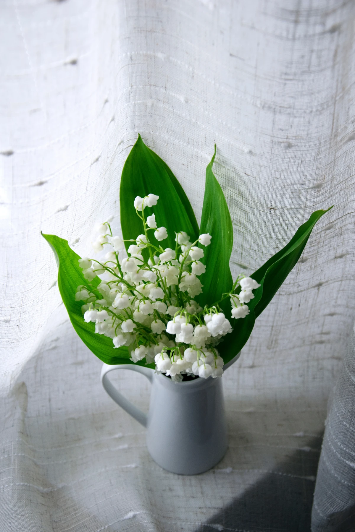 bouqet of lily of the valley