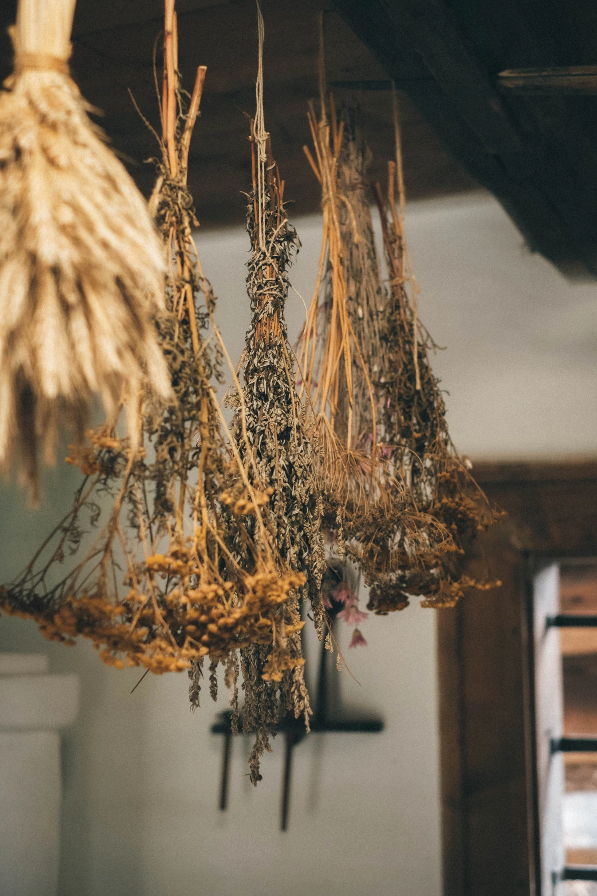 drying herbs upside down