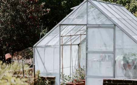 green house in garden