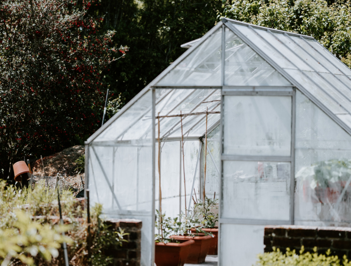 6 DIY Greenhouse Ideas: Easy And Budget-Friendly