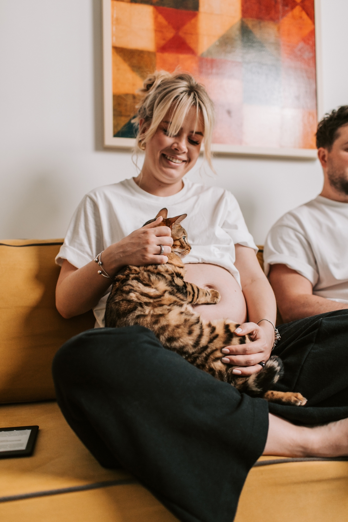 How to Actually Feed Your Pregnant Cat: Complete Guide