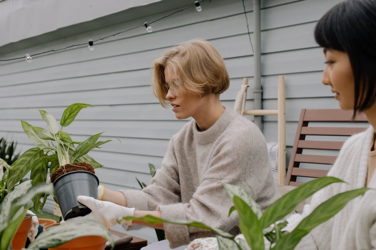 how to repot a plant woman taking plant out of pot