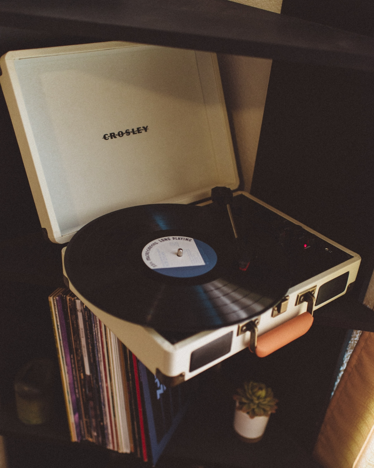 large vinyl storage unit