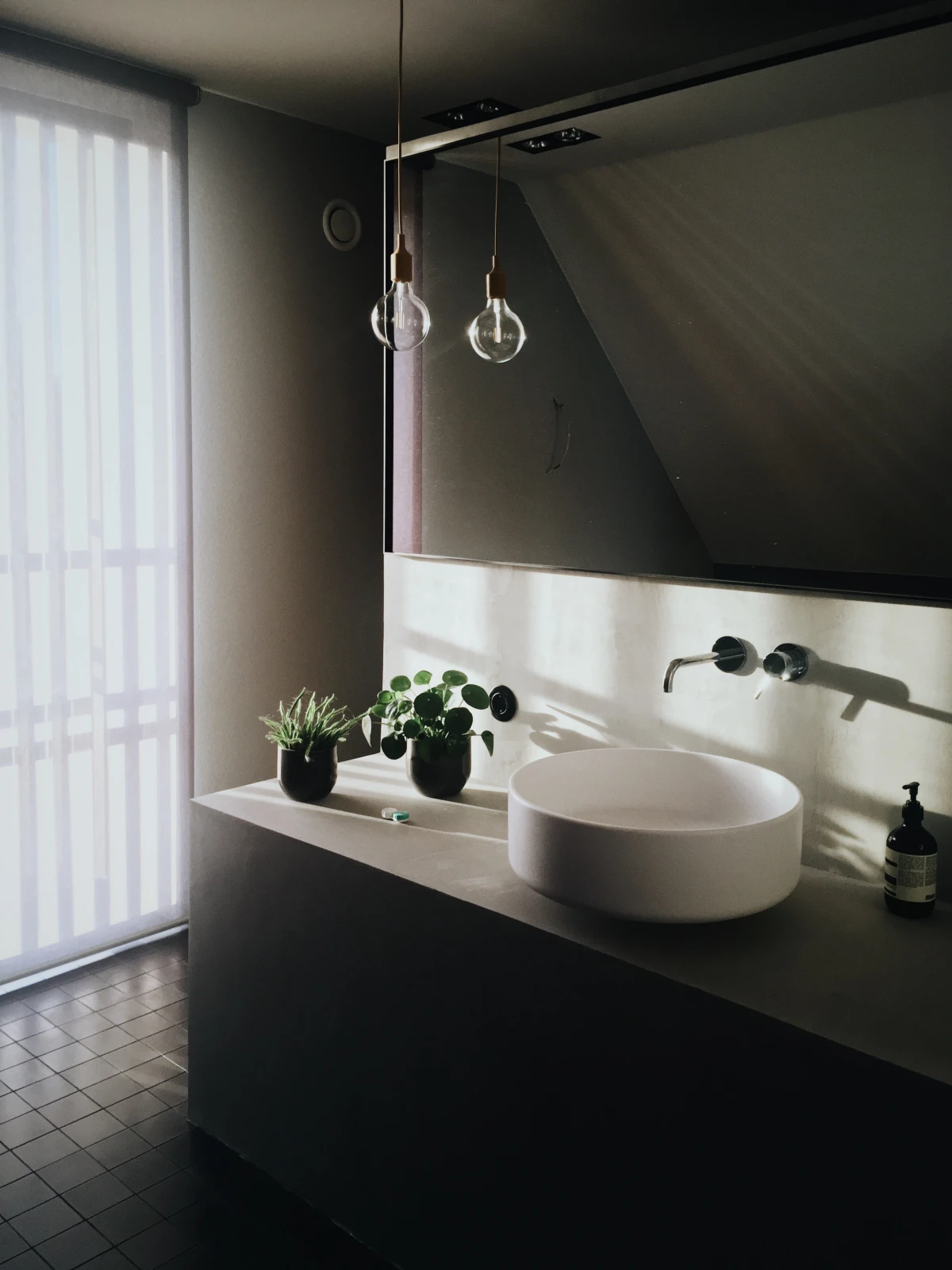 low light bathroom with plant