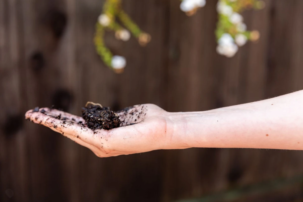 person holding and squeezing soil