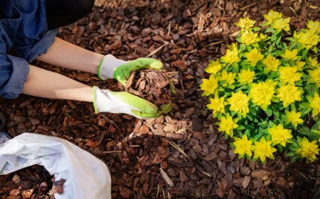 person holding mulch in hands