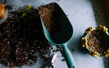 soil in a gardening shovel