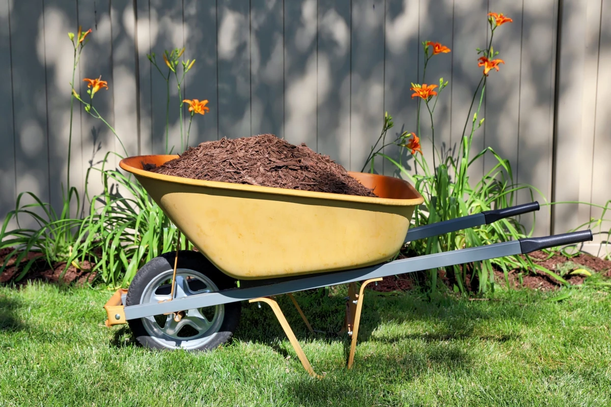 wheel barrel filled with mulch