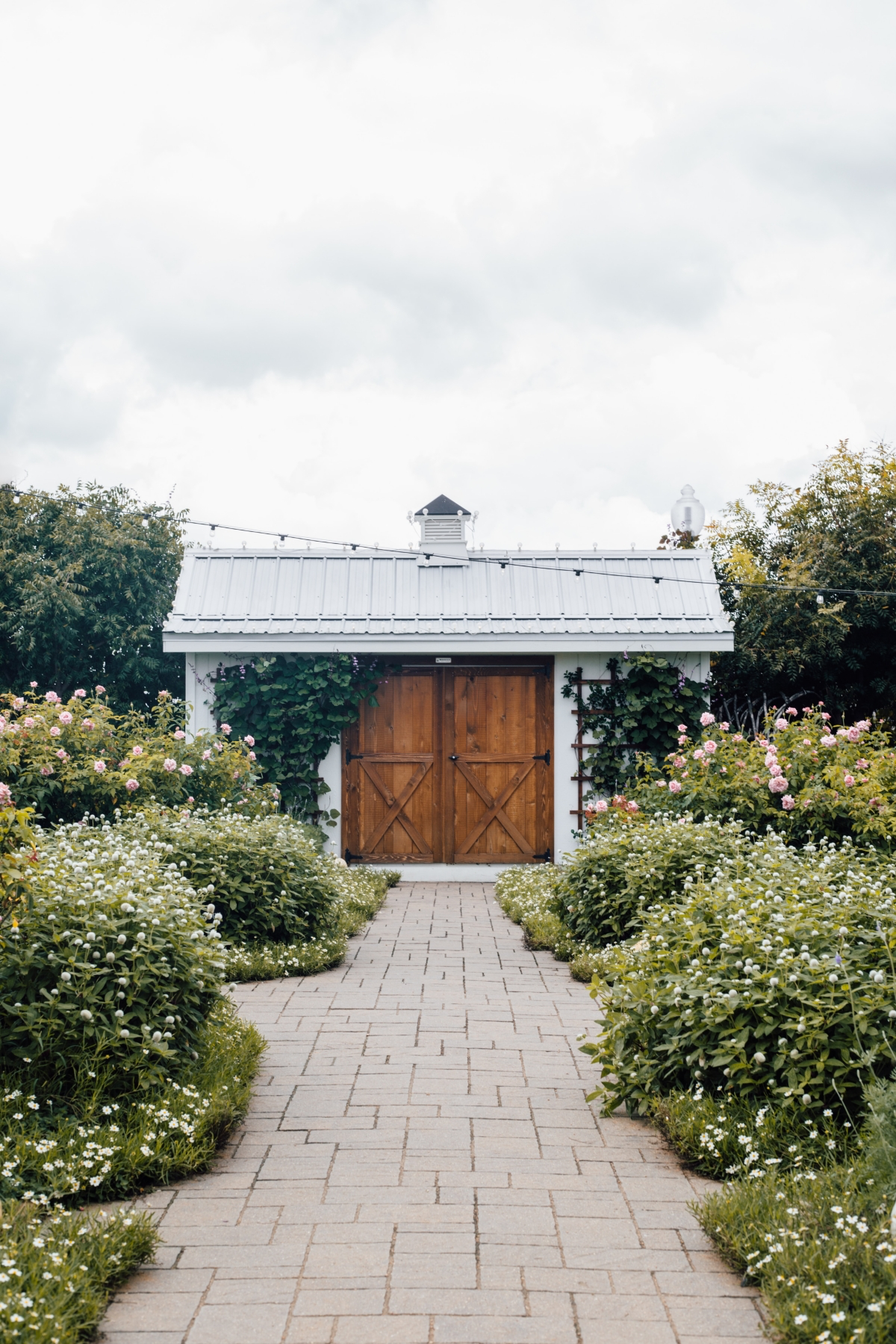 wood vs metal storage sheds