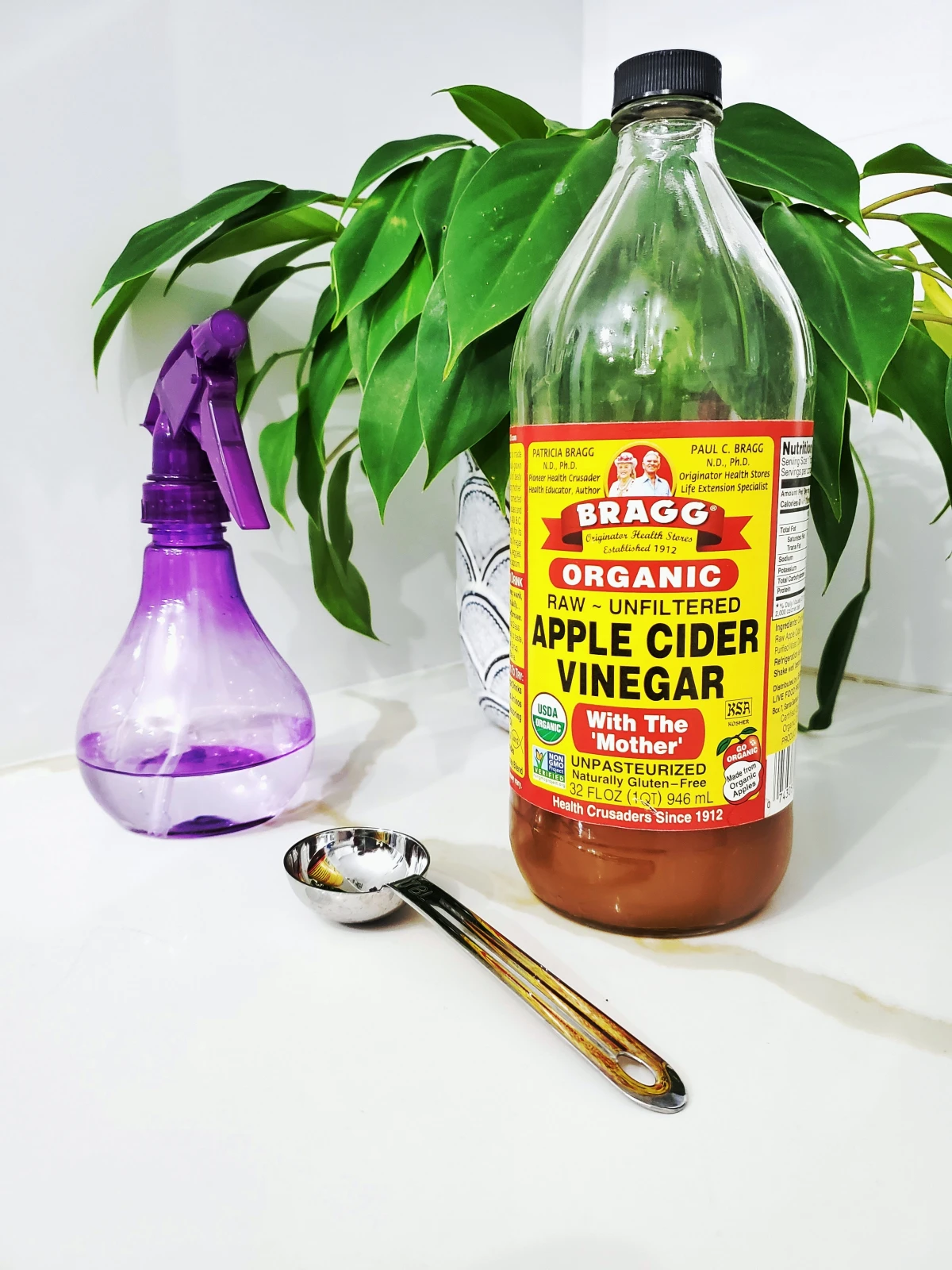 apple cider vinegar and spoon and spray bottle