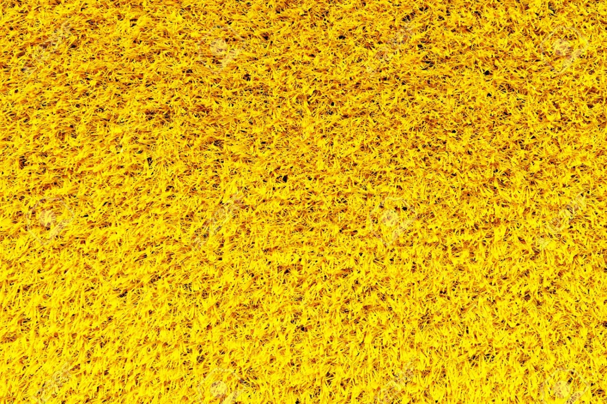 bright yellow carpet fluufy