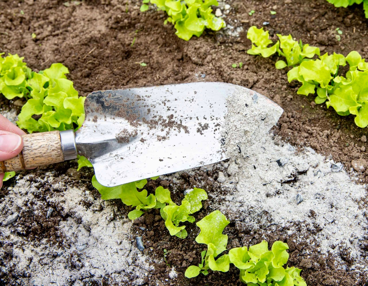 can you sterilize potting soil in the microwave