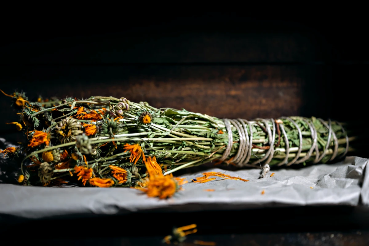dried calendula flowers tied with string
