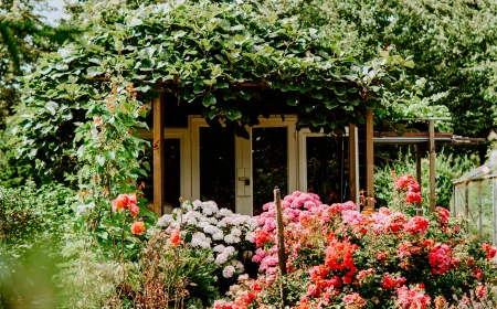 flower garden with shed