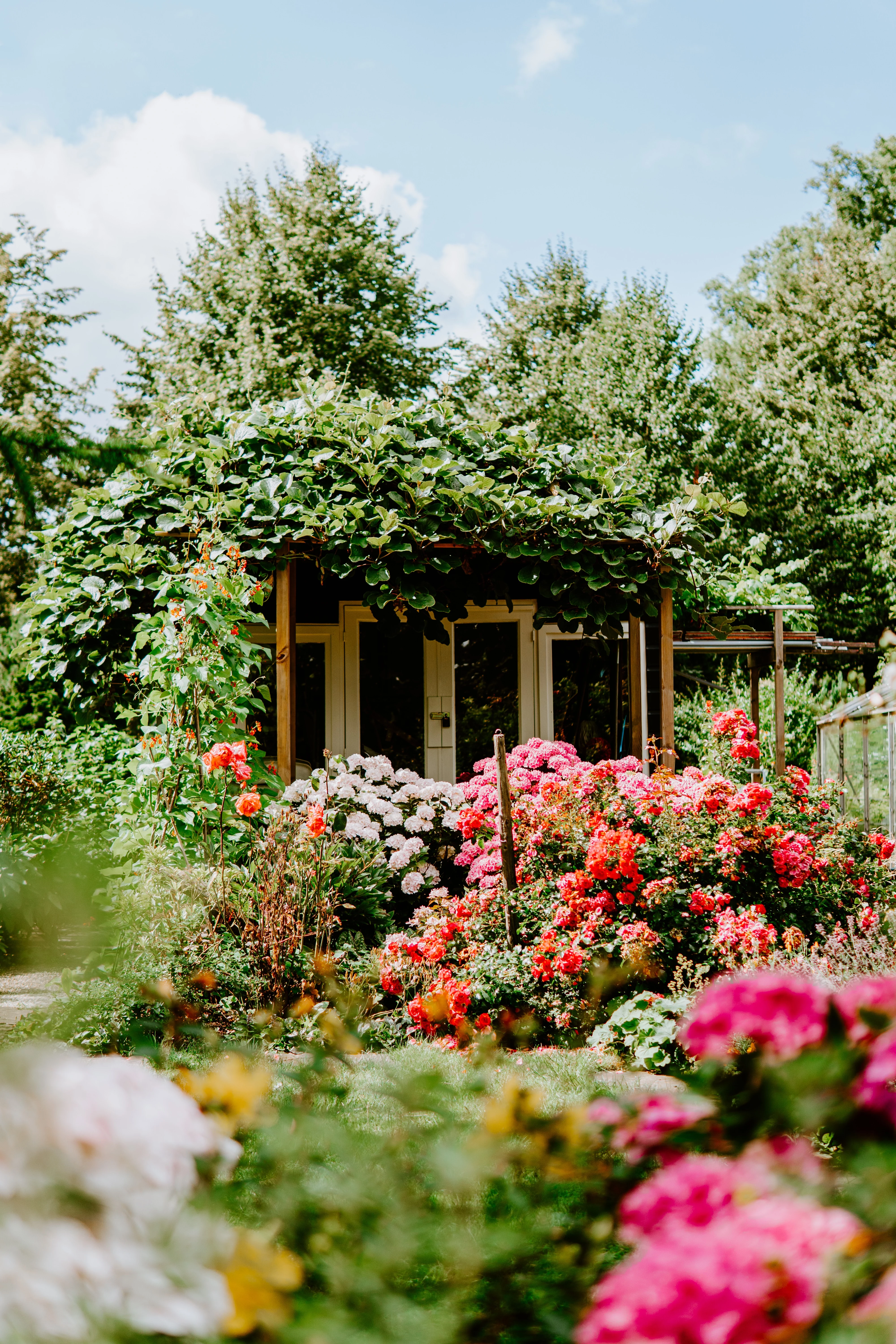 flower garden with shed