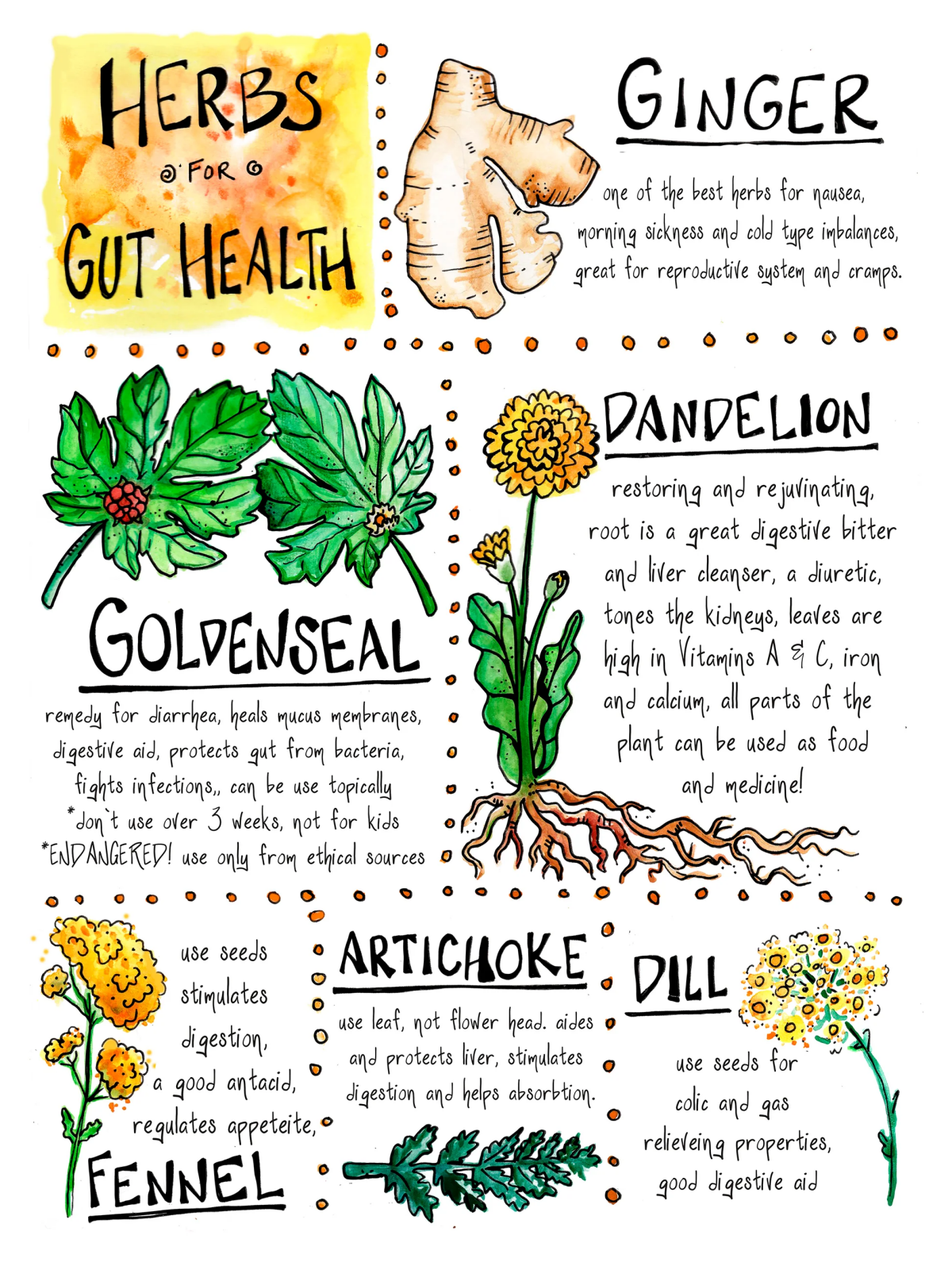 herbs to balance gut flora.jpg