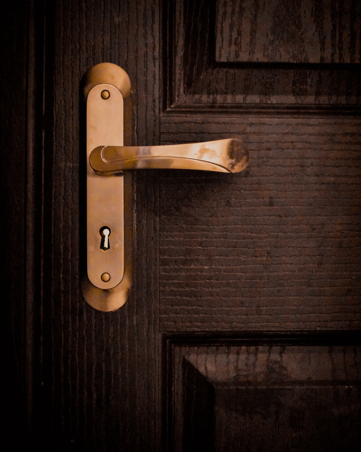 home renovations door handle in gold