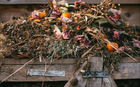 how to compost at home compost pile of food waste