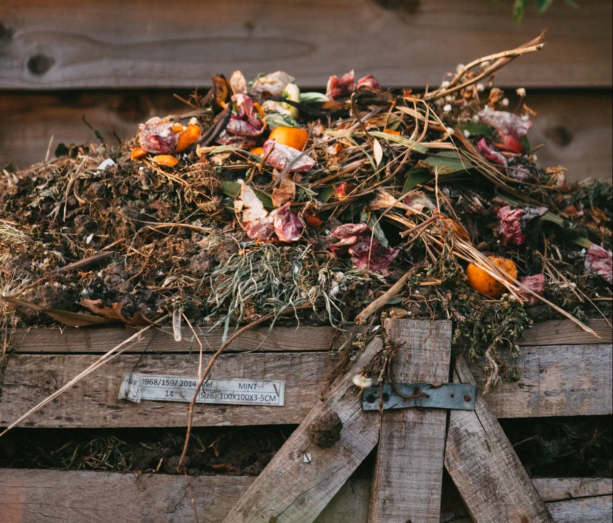 how to compost at home compost pile of food waste